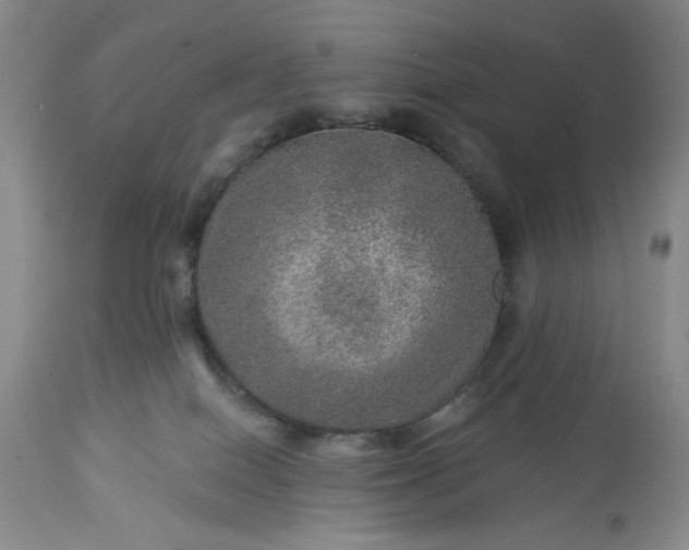 X0000113570086200910021639