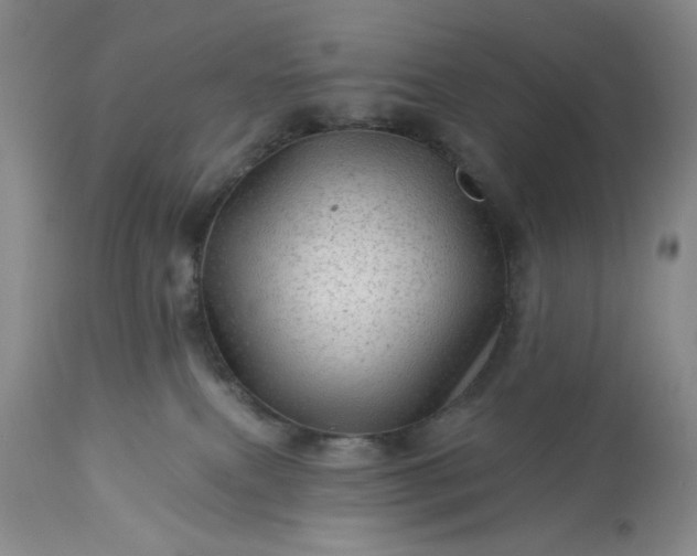 X0000113570087200910021639