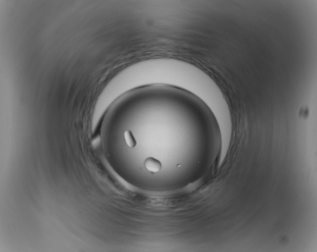 X0000113570088200910021639