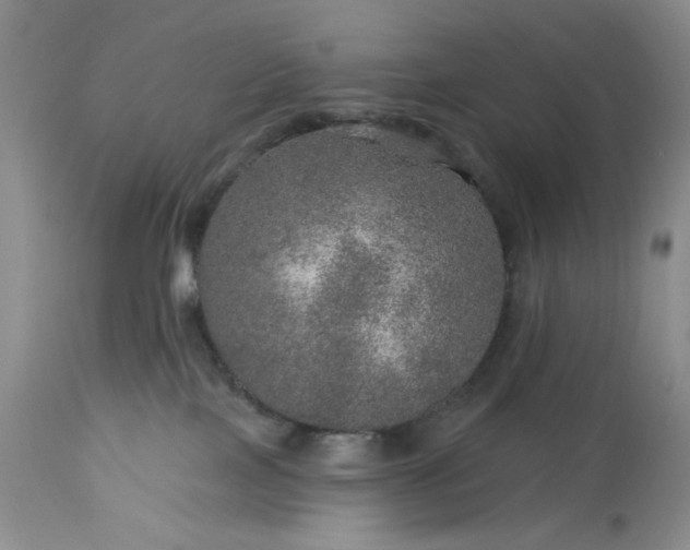 X0000113570089200910021639