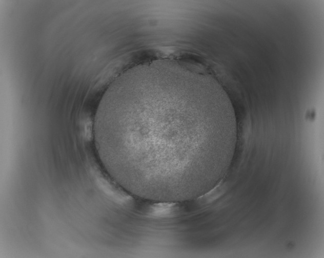 X0000113570090200910021639