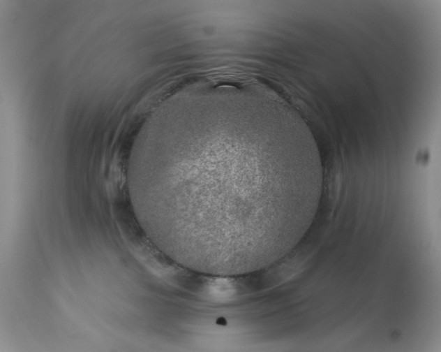 X0000113570091200910021639