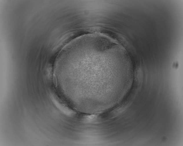 X0000113570092200910021639