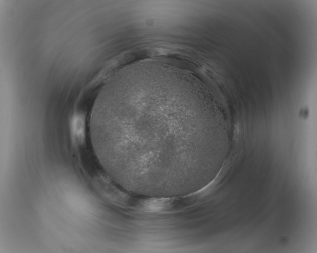 X0000113570094200910021639