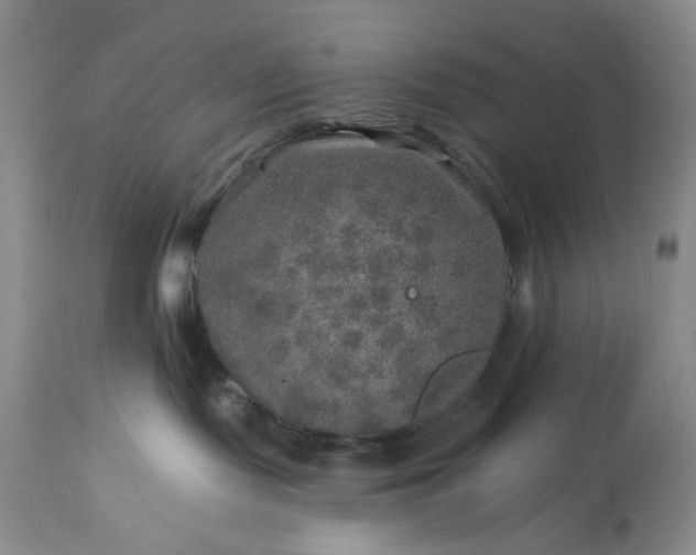 X0000113570095200910021639