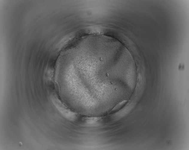 X0000113570096200910021639