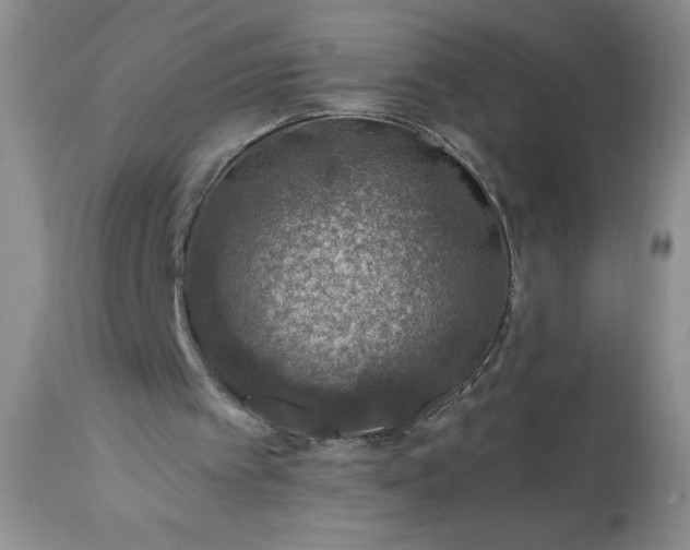 X0000113570097200910021638