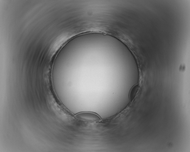 X0000113570098200910021638