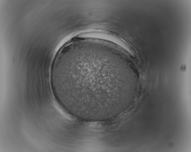 X0000113570100200910021638