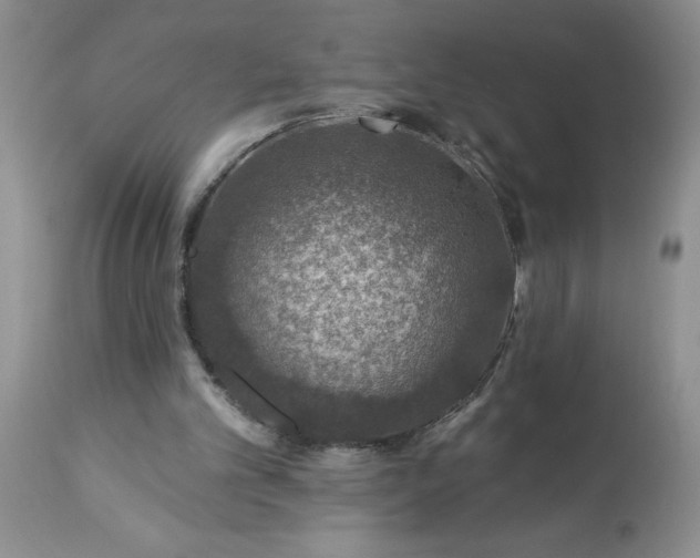 X0000113570101200910021638