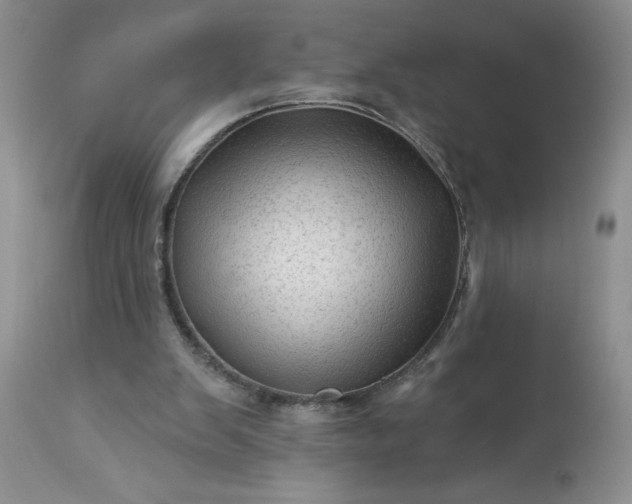 X0000113570103200910021638