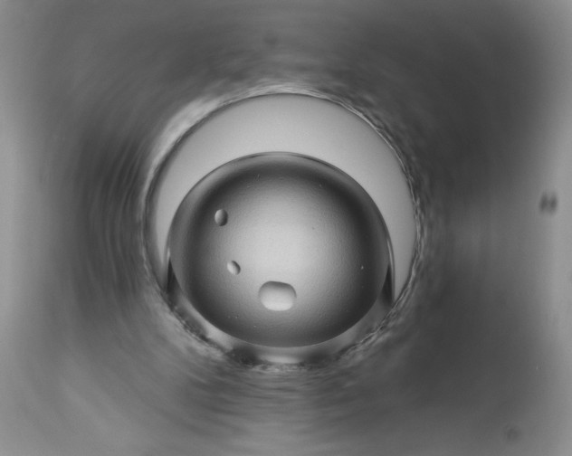 X0000113570104200910021638