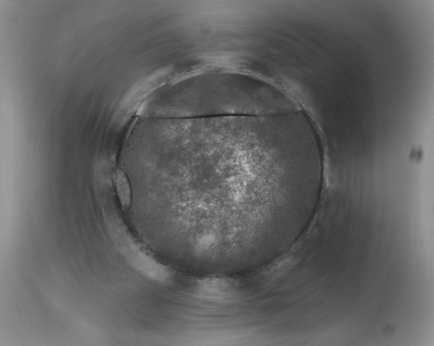 X0000113570105200910021638