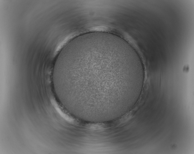 X0000113570106200910021638