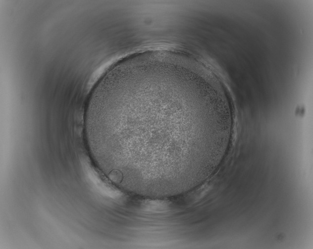 X0000113570107200910021638