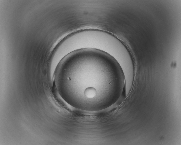 X0000113570108200910021638