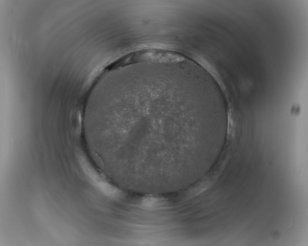 X0000113570109200910021638