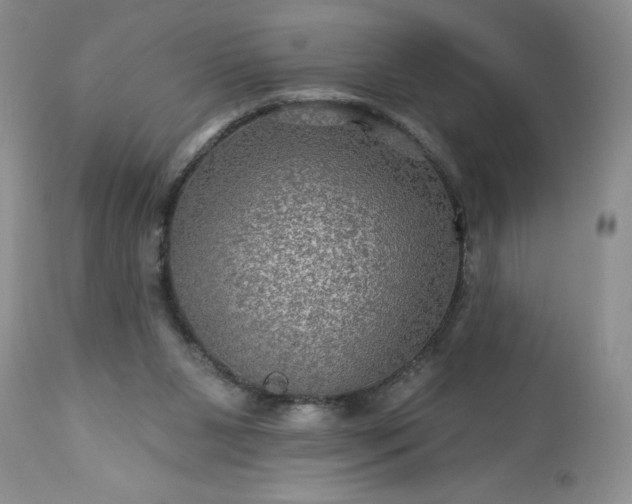 X0000113570111200910021638