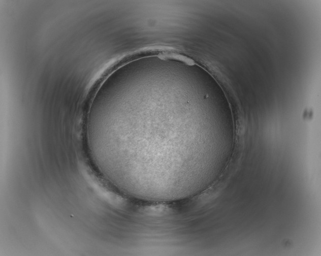 X0000113570112200910021638