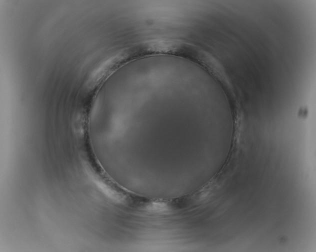 X0000113570114200910021638