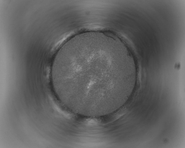 X0000113570115200910021638