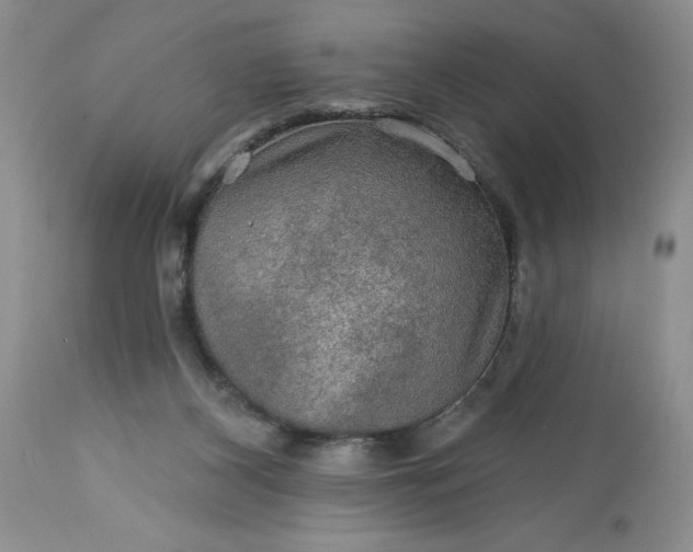 X0000113570116200910021638