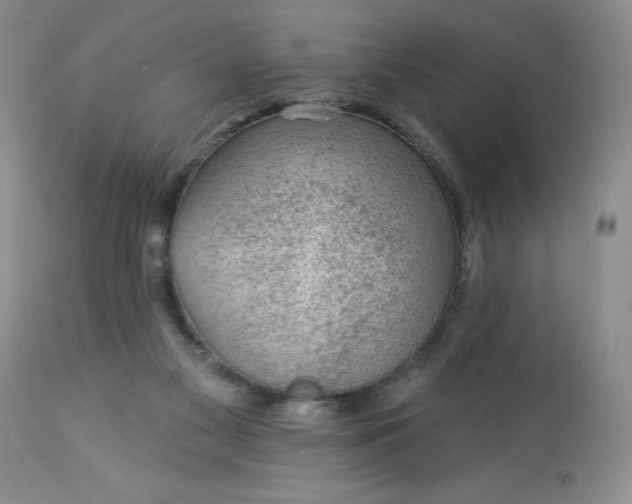 X0000113570117200910021638