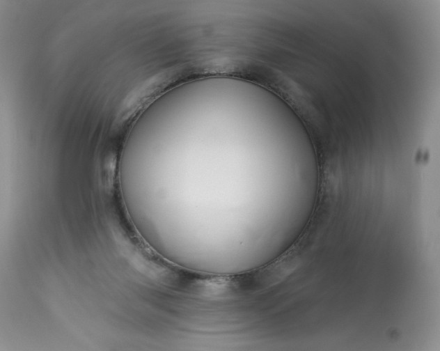 X0000113570118200910021638