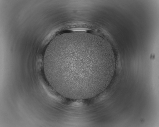 X0000113570119200910021638