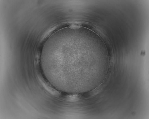 X0000113570120200910021638