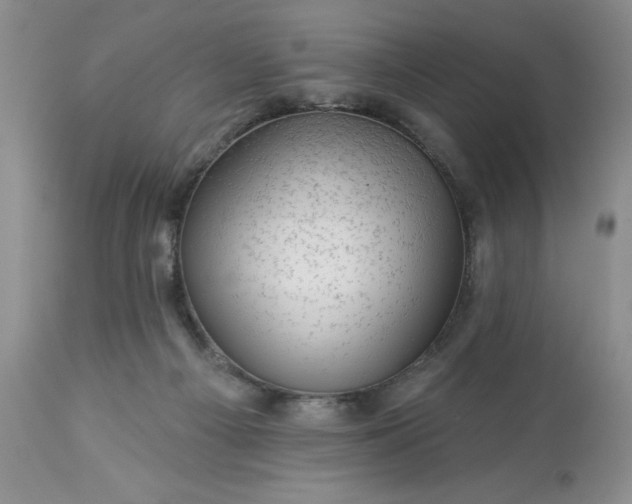 X0000113570121200910021638