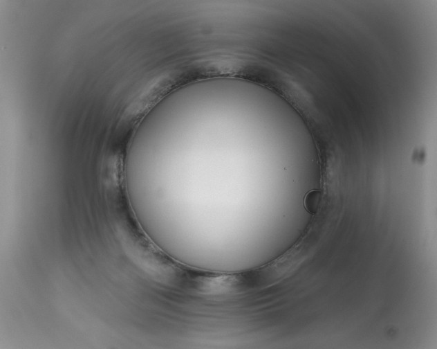 X0000113570122200910021638