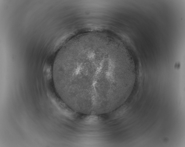 X0000113570123200910021638