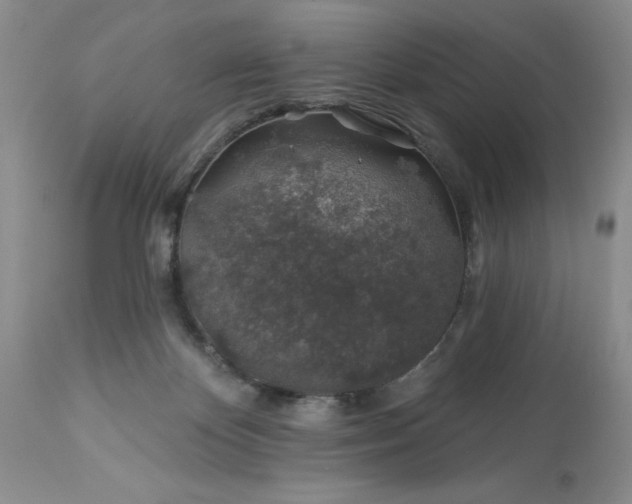 X0000113570124200910021638