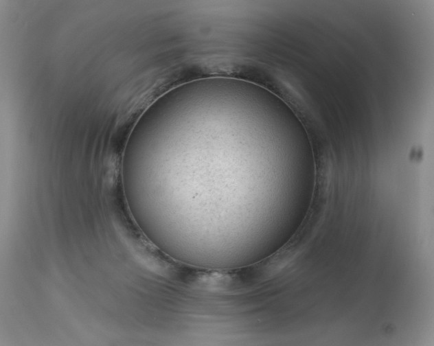 X0000113570125200910021638