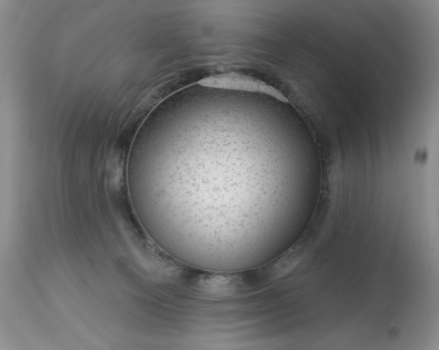 X0000113570129200910021638