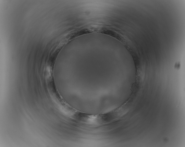 X0000113570130200910021638