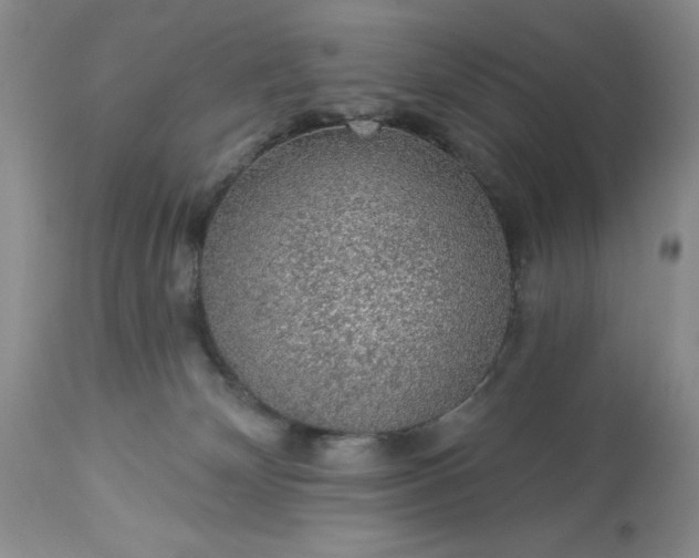 X0000113570132200910021638