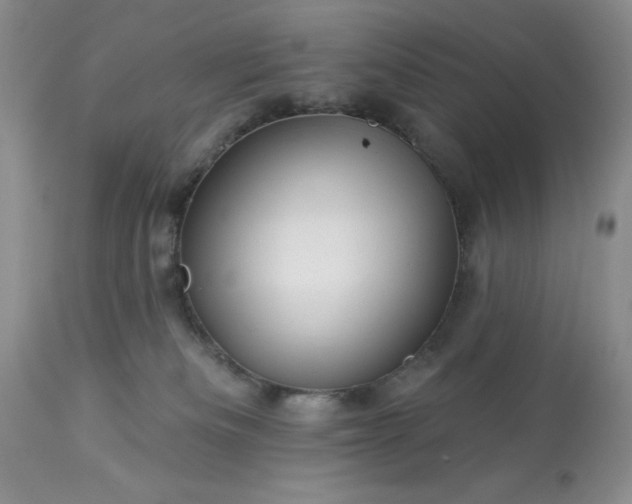 X0000113570133200910021638