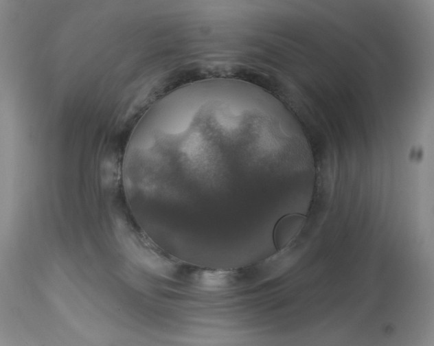 X0000113570134200910021638