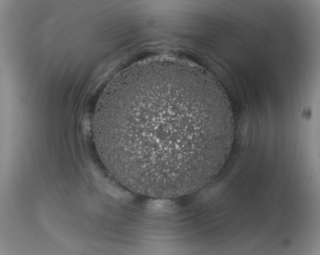 X0000113570137200910021638