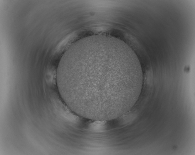 X0000113570138200910021638