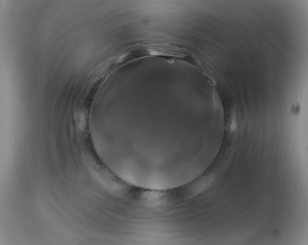 X0000113570139200910021638