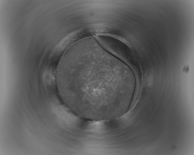 X0000113570140200910021638