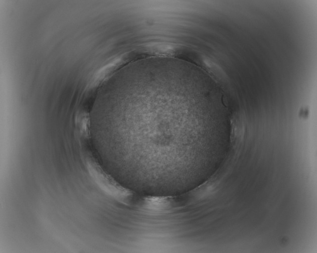 X0000113570141200910021638