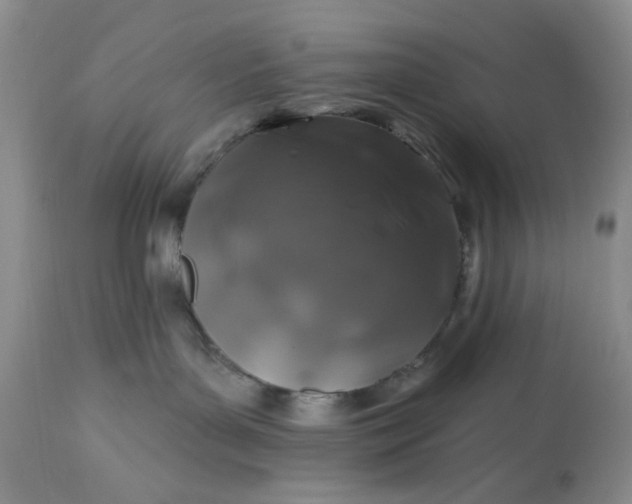 X0000113570143200910021638