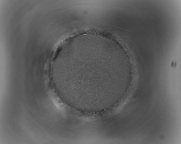 X0000113570144200910021638