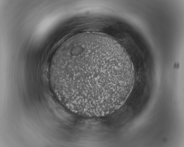 X0000113570146200910021637