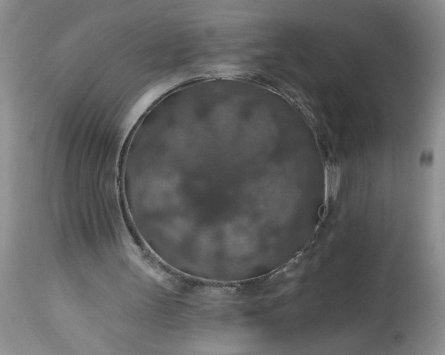 X0000113570147200910021637