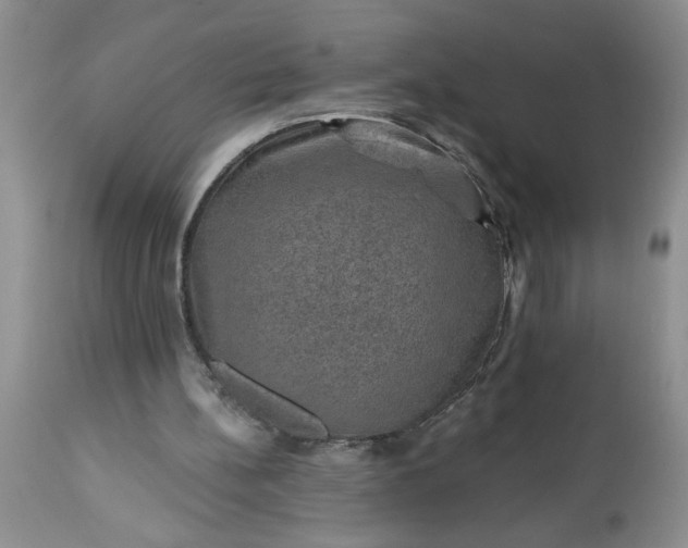 X0000113570148200910021637